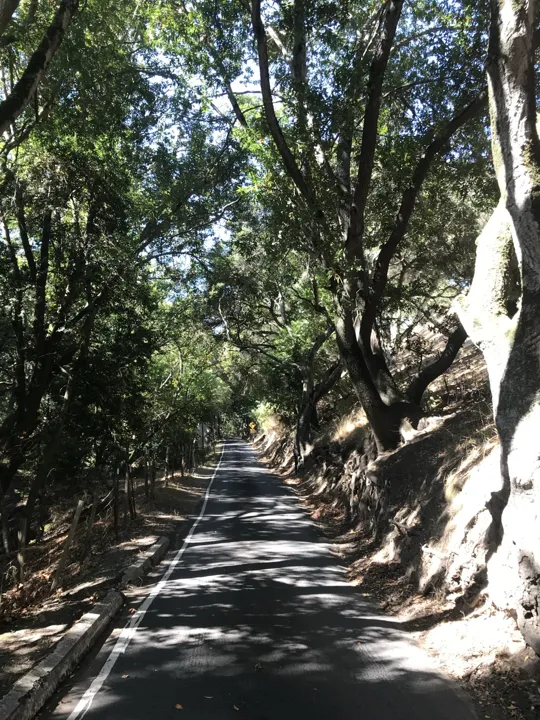 A little shade along the way