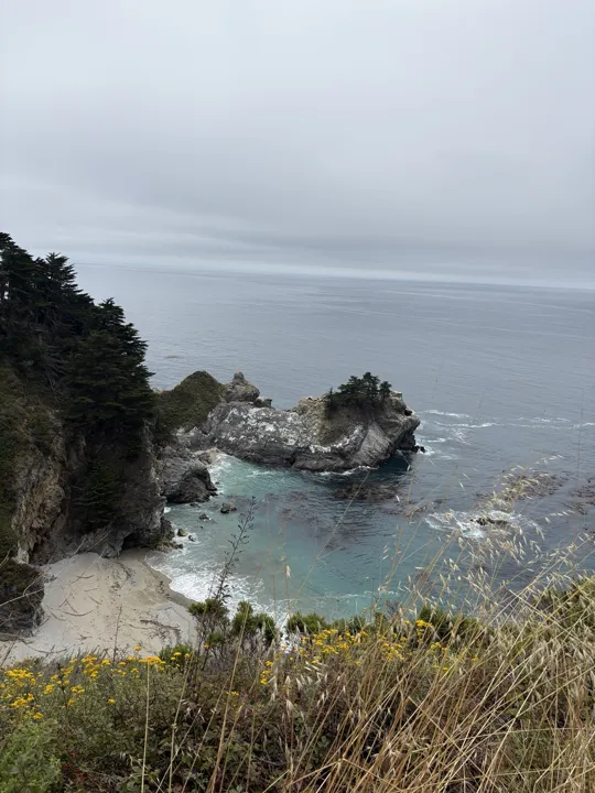 A quiet cove, framed by wildflowers