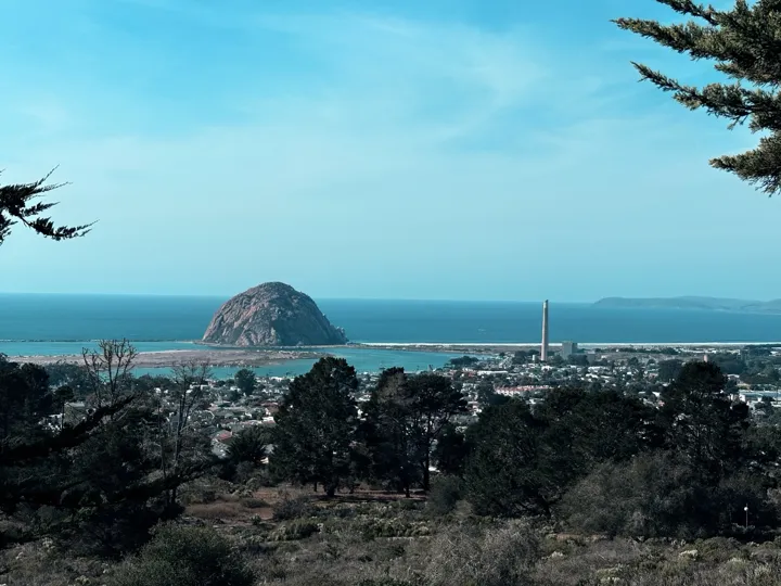 Morro Bay through the trees